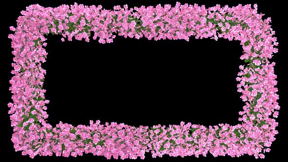 Rectangle Floral Frame With Pink Blooming Flowers