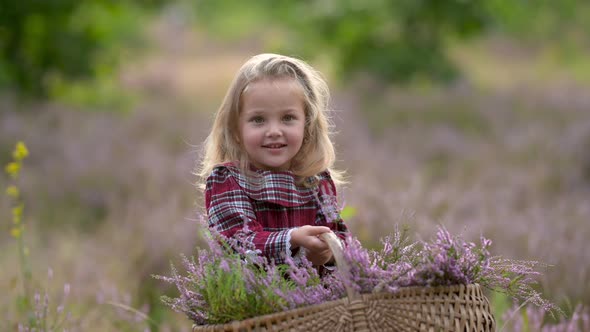 Cute little girl in a dress with a basket of wild flowers walks Outdoors in a green park.