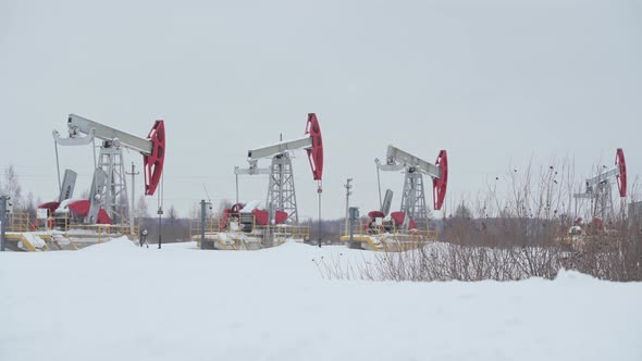 Four oil rockers work in winter on a snow-covered field against the background of a forest. alt