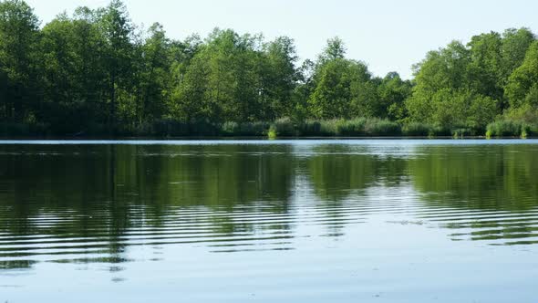 Landscape on the shore of a beautiful calm lake in forest. Vacation, travel, tourism