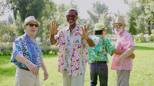 Four old friends at the park alt