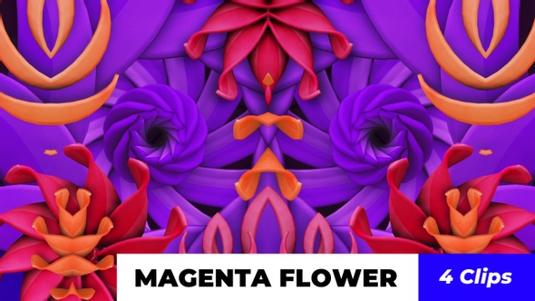 Magenta Flower