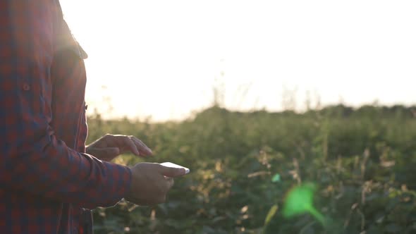 Farmer Uses a Tablet Computer on a Soy Field