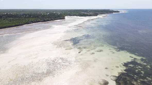 Shore of Zanzibar Island Tanzania at Low Tide Slow Motion alt