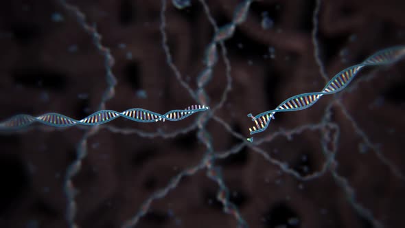 Dna Editing, Repair, Engineering. Extraction Of Segements. alt