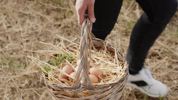 Walking Basket Full of Fresh Hen Eggs Collected in the Countryside in the Field alt