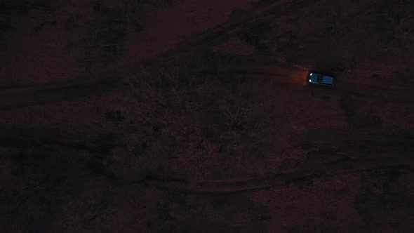 Aerial view of a car on dirt road in the forest