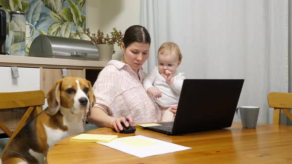 Young woman try to work with baby on hands and dog from other side