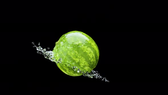 Slow Motion Fluid Splash Watermelon