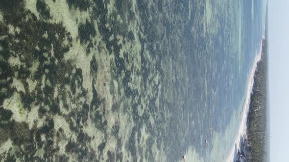 Zanzibar Tanzania  Vertical Video of the Ocean Near the Coast Slow Motion alt