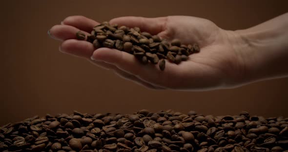 Female Hand Full of Coffee Beans Turns and Coffee Beans Falling Down Slowly
