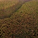 Aerial Drone View of Forest Destroyed in Europe Forest at Sunset During Autumn - VideoHive Item for Sale