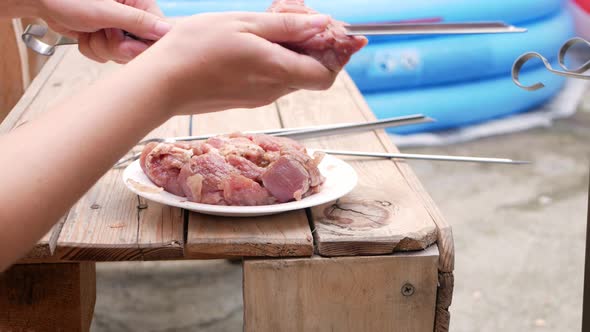 Meat on a Plate Pork on a Metal Skewer alt