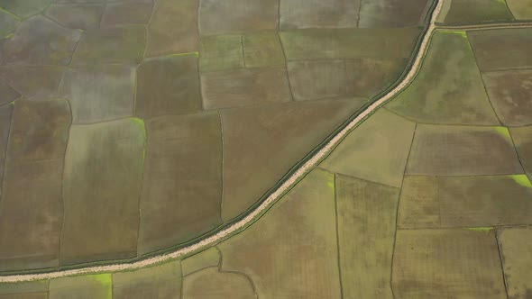 Aerial view of agricultural field in Sapahar, Rajshahi state, Bangladesh.