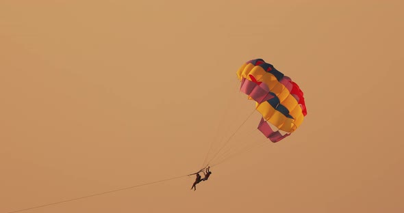 Parasailers Flying On Colorful Parachute In Sunset Or Sunrise Sky alt