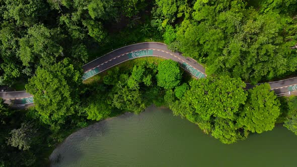 Aerial view Top-down green nature public park. Bike cycle way under green tree. alt