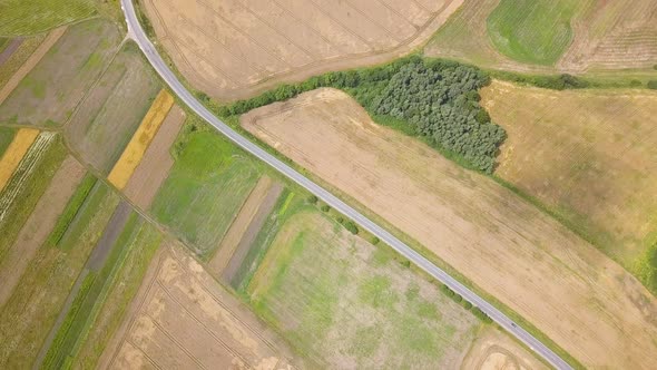 Aerial view of yellow agriculture wheat field ready to be harvested in late summer. alt