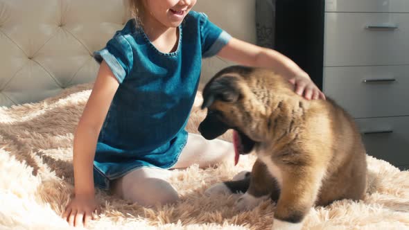 Little girl sitting on sofa with puppy