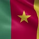 Cameroon Flag - VideoHive Item for Sale
