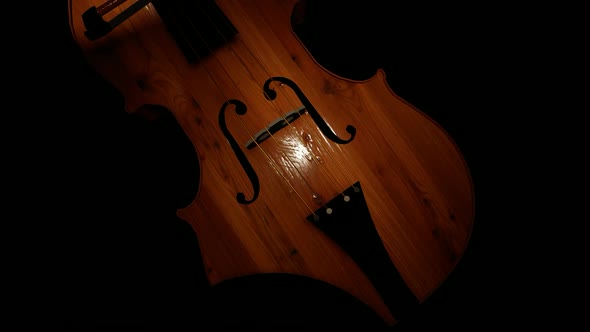 Violin Black Background alt