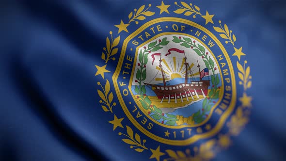 New Hampshire State Flag Angle