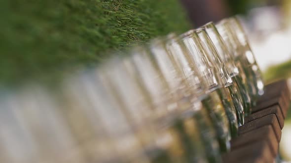 Glasses with Tasty Champagne on Rack Near Artificial Grass alt