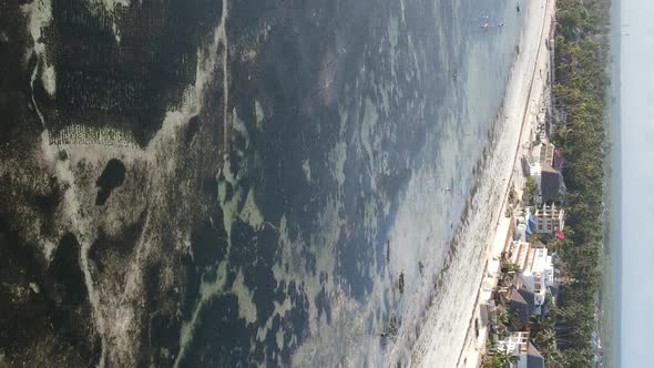 Zanzibar Tanzania  Vertical Video of Low Tide in the Ocean Near the Coast Slow Motion alt