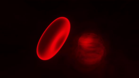 3D Animation of a Haemoglobin cell floating in the blood stream