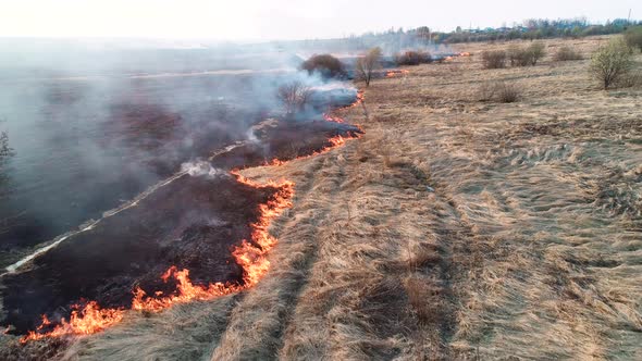 Strong Fire in an Empty Field, Strong Smoke From a Burning Place. Flying Over a Fire at Low Altitude alt