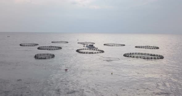 Aquaculture Aerial View