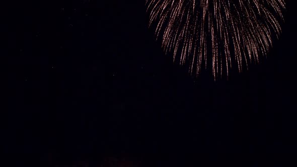 Colorful Firework display at night on sky background alt