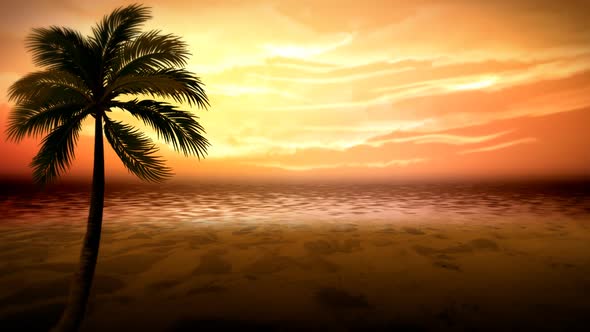 Palm On The Cloudy Beach 3