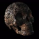  Carved cooper skull with alpha  - VideoHive Item for Sale