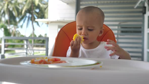 Baby Boy on Feeding High Chair Eating Sweetcorn on His Own