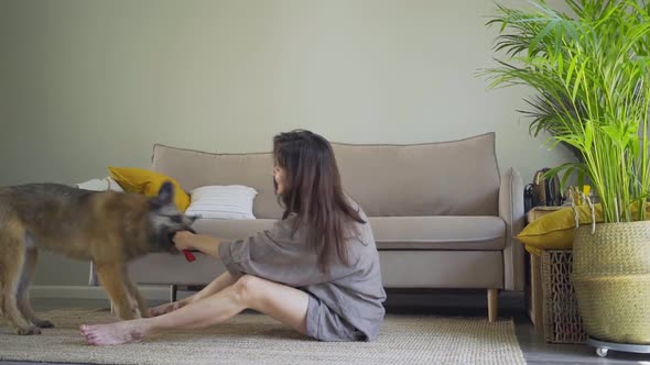 Woman in Grey Pajama Plays with Large Dog Sitting on Floor