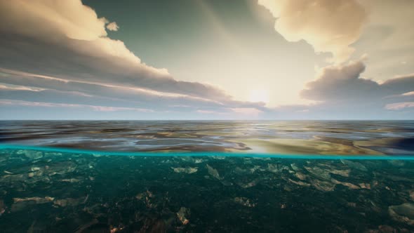 Underwater View with Horizon and Water Surface Split By Waterline alt