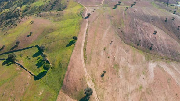 Aerial View Green Rural Landscape Alentejo