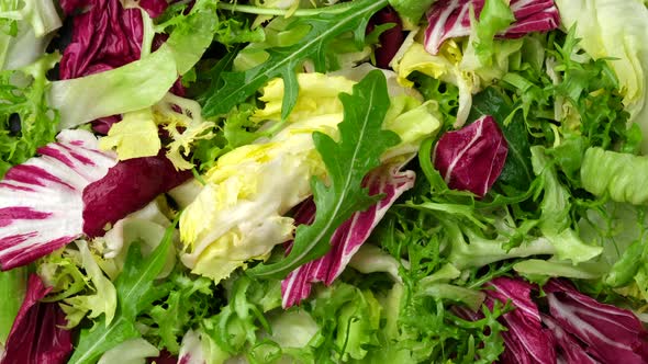 Fresh salad top view, rotation. Vegan salad alt