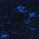 Abstract Plexus Background - VideoHive Item for Sale