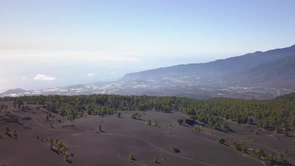 Volcanic Landscape and Pine Forest