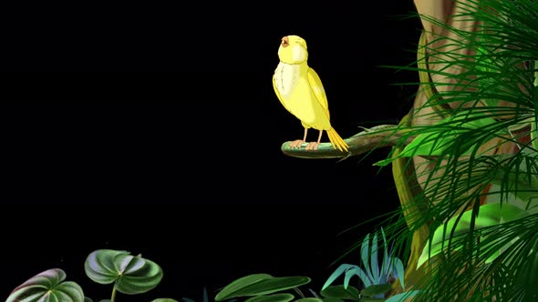 Little yellow bird singing on a tree