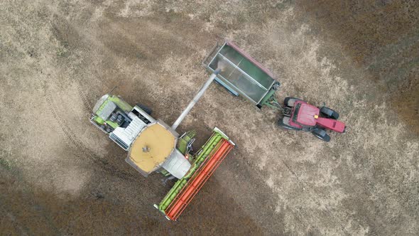 Aerial View of Combine Harvester Unloading Grain in Cargo Trailer Working During Harvesting Season alt