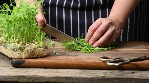 woman in a striped apron cuts green peas