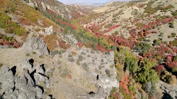 Flying over rock cliff down towards trees during Fall alt
