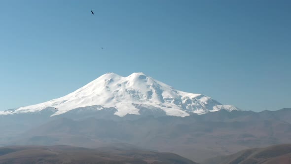 Mountain Eagle Flying on Snowy Mountain Landscape. Predator Birds Hunting on Snowy Elbrus Mount in alt