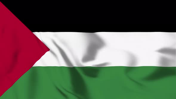 4K Palestine Flag - Loopable