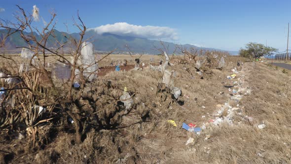 Drone Flying Along Leafless Branches Covered By Plastic Waste Hawaii Island alt