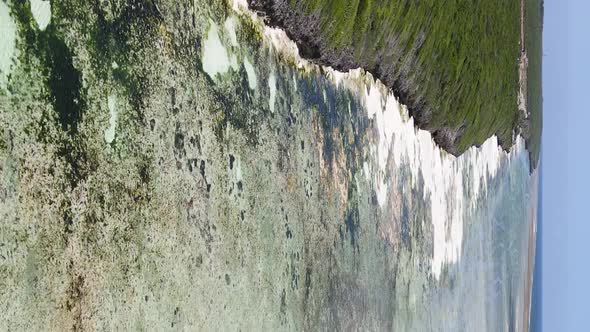 Zanzibar Tanzania  Vertical Video of Low Tide in the Ocean Near the Coast Slow Motion alt