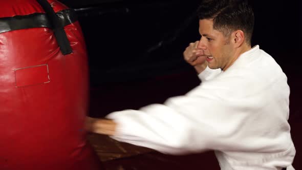 Man practicing karate alt