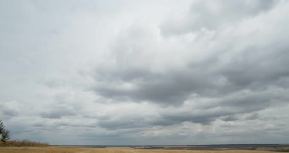 Rain Clouds Float Over a Mown Wheat Field